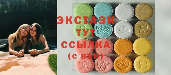 ECSTASY Бородино